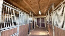Stall +++ RESERVIERT+++Vor den Toren von Wildeshausen - modernisierter Resthof zu verkaufen