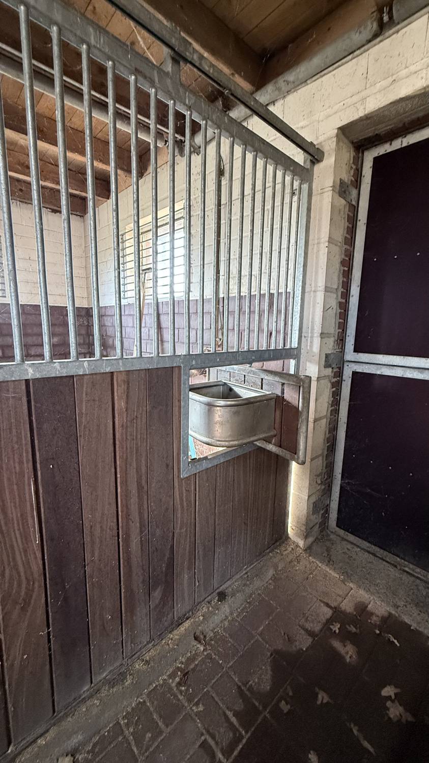 Stall Einfamilienhaus Gro�enkneten