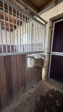 Stall +++ RESERVIERT+++Vor den Toren von Wildeshausen - modernisierter Resthof zu verkaufen
