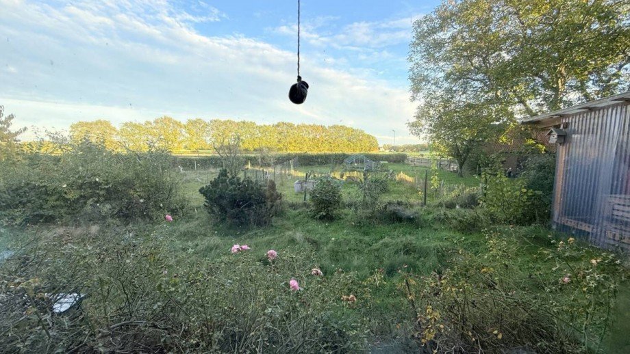 Fensterblick B�ro Einfamilienhaus Martfeld
