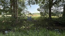Bahlumer  Bach - Grenze +++ RESERVIERT+++ Resthof  in  Alleinlage bei Syke zu verkaufen