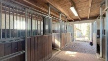 Stall +++ RESERVIERT+++Vor den Toren von Wildeshausen - modernisierter Resthof zu verkaufen