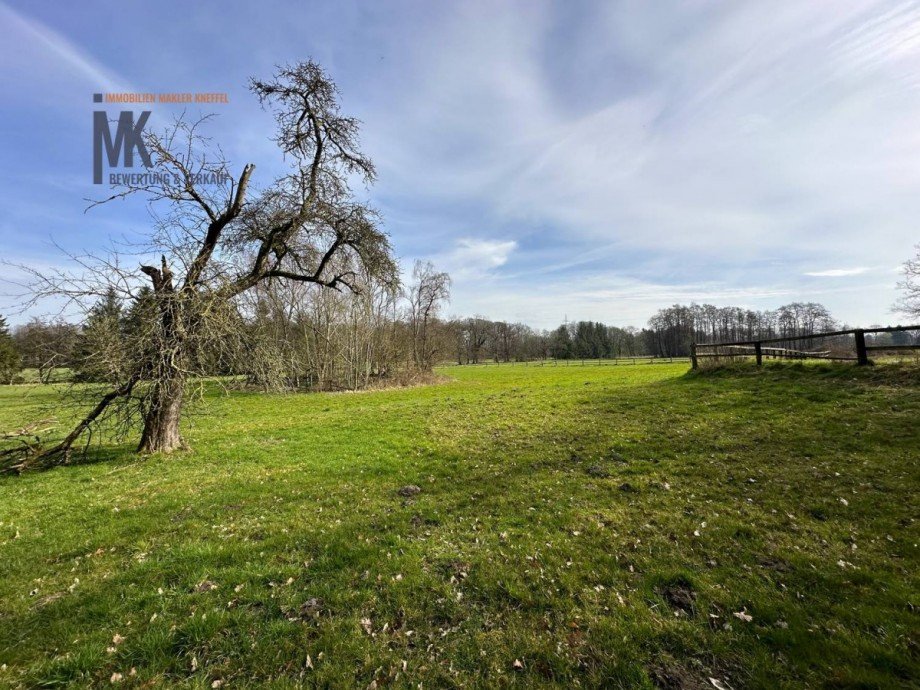Weidenblick 4 Einfamilienhaus Bassum