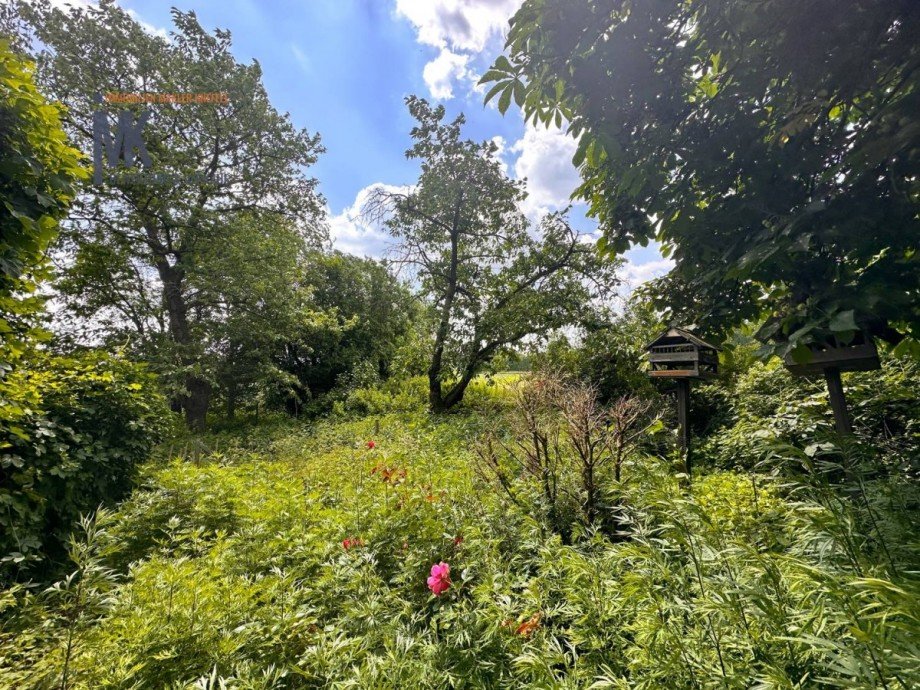 Garten Einfamilienhaus Ha�bergen