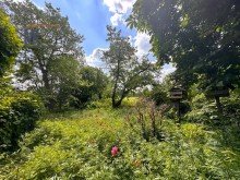 Garten Resthof - Bullerb� sucht Liebhaber + 2,5 ha Option