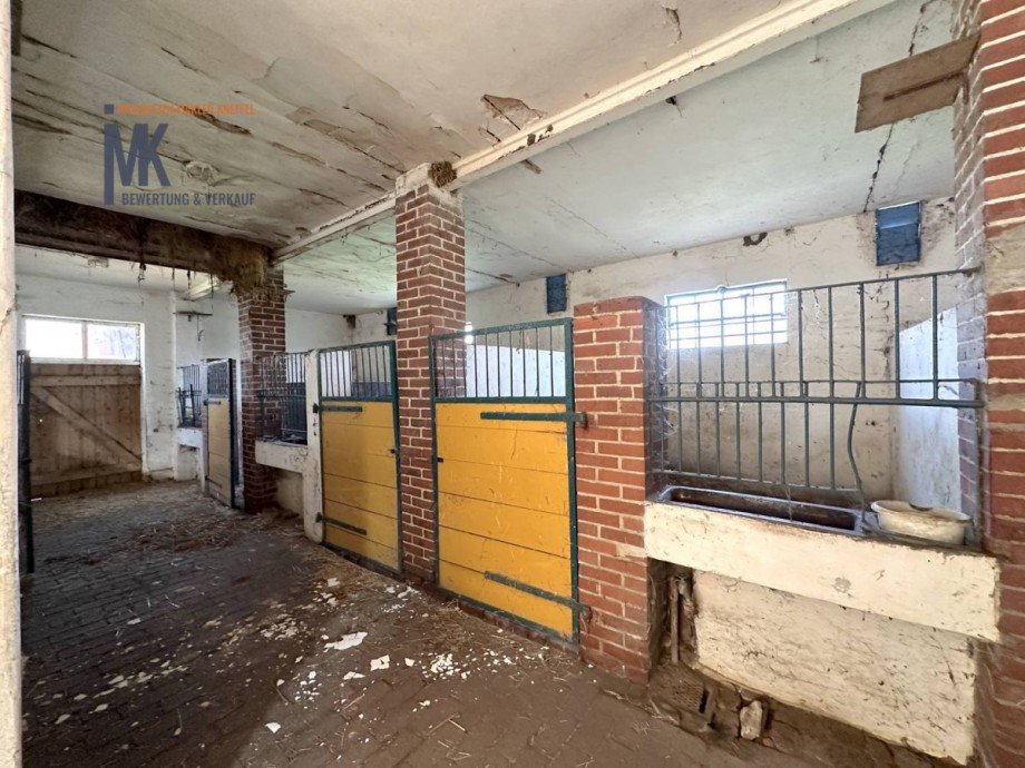 Pferdeboxen Einfamilienhaus Bassum