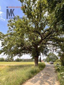 Eiche am Haus Resthof - Bullerb� sucht Liebhaber + 2,5 ha Option