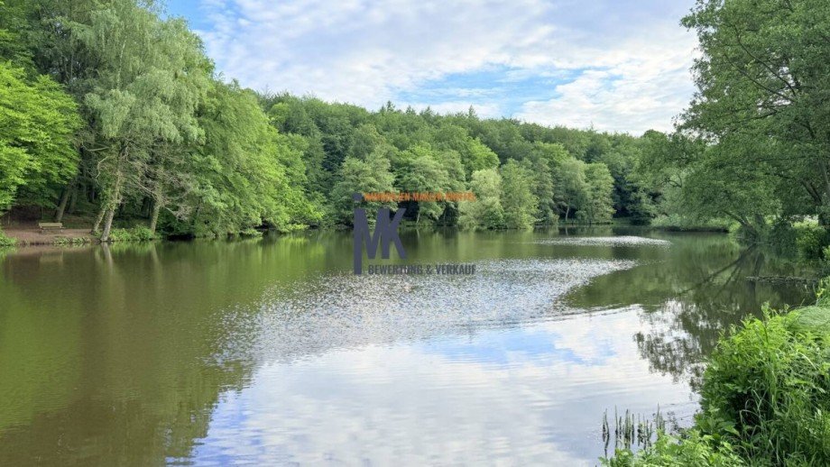 Naturpark Elm-Lappwald Einfamilienhaus Helmstedt / Bad Helmstedt
