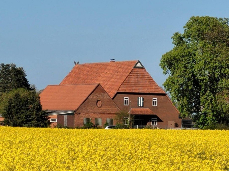 Sommer Einfamilienhaus Martfeld