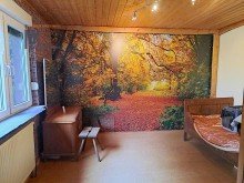 Zimmer EG +++ VERKAUFT+++ Stressfreier Resthof mit Weide in Alleinlage zu verkaufen