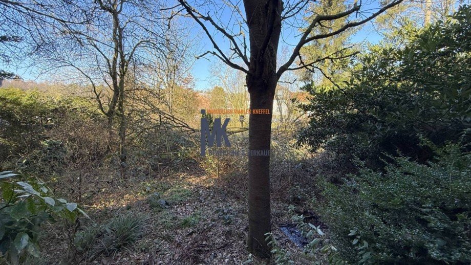 Vorgarten Einfamilienhaus Syke
