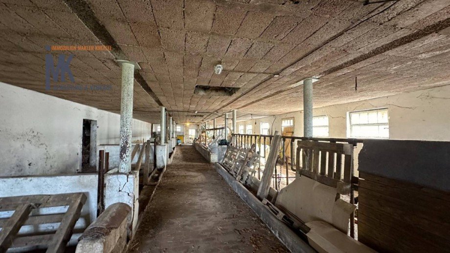 Stallung innen Einfamilienhaus Bassum